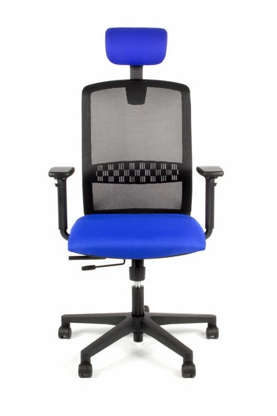 Geen Merk LF-2012405 Bureaustoel Linea Tekna 01/PT Zwart/blauw Met 3D Armleuning En Hoofdsteun 6 Geen Merk LF-2012405 Bureaustoel Linea Tekna 01/PT Zwart/blauw Met 3D Armleuning En Hoofdsteun - Afbeelding 4