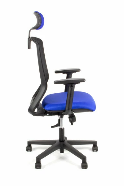 Geen Merk LF-2012405 Bureaustoel Linea Tekna 01/PT Zwart/blauw Met 3D Armleuning En Hoofdsteun 7 Geen Merk LF-2012405 Bureaustoel Linea Tekna 01/PT Zwart/blauw Met 3D Armleuning En Hoofdsteun - Afbeelding 5